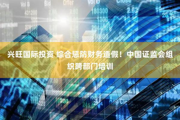 兴旺国际投资 综合惩防财务造假！中国证监会组织跨部门培训